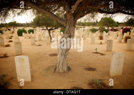 Les pierres tombales du cimetière des alliés d'El Alamein en Egypte. Banque D'Images