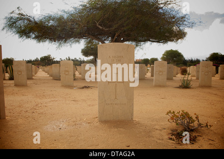 Pierre tombale d'El Alamein Cimetière allié en Egypte. Banque D'Images