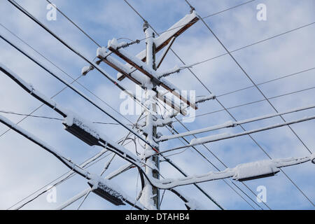 Harrison, Ohio, USA. 13 Février, 2014. De fortes chutes de neige de l'automne les feuilles d'une nuit de lignes couvertes de neige dans la région de Harrison, près de Chattanooga, Tennessee, USA Crédit : Photographie du PDT/Alamy Live News Banque D'Images