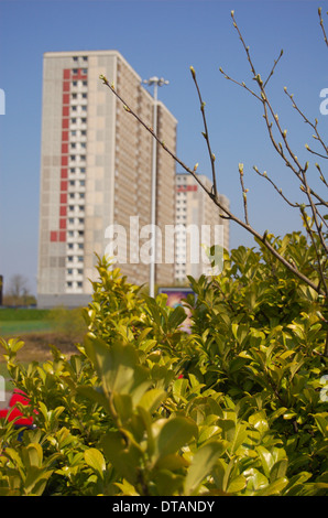 Des tours d'immeubles d'habitation à Sighthill à Glasgow, Ecosse Banque D'Images