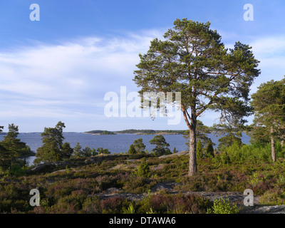 Fyrudden öxelösund entre västervik, et, småland, en Suède Banque D'Images