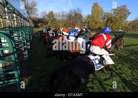 Halle, Allemagne, chevaux et jockeys au début d'une course de chevaux Banque D'Images