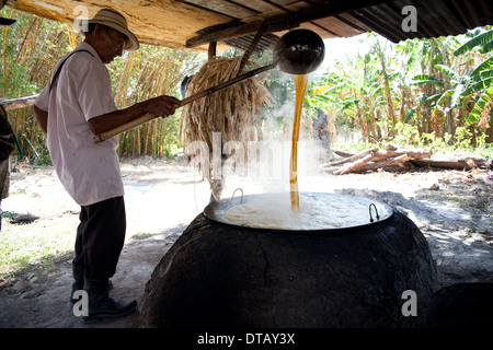 Un fermier panaméen fait bouillir du jus de canne à sucre dans sa petite ferme à El Rosario, près de Penonome, dans la province de Cocle, République du Panama, Amérique centrale. Banque D'Images