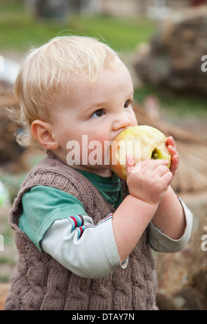 Baby Boy eating apple, looking away Banque D'Images