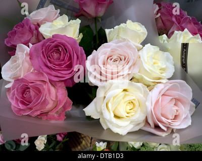 Roses rose et blanc à vendre en magasin Marks and Spencer Cardiff, Pays de Galles, UK KATHY DEWITT Banque D'Images