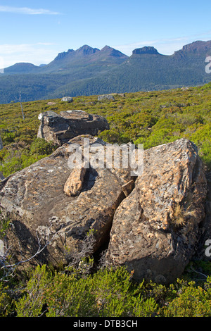 Vue de Mt Ossa, la plus haute montagne de Tasmanie, des pentes du mont Pelion West Banque D'Images