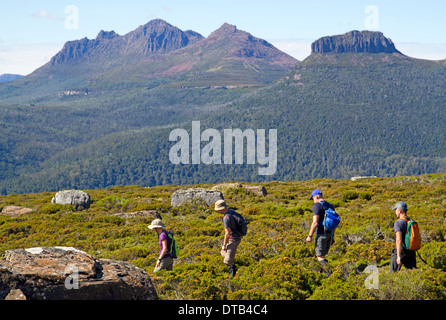 Randonneurs sur le slopesof Mt Pelion West en vue de Mt Ossa, le plus haut sommet de Tasmanie Banque D'Images