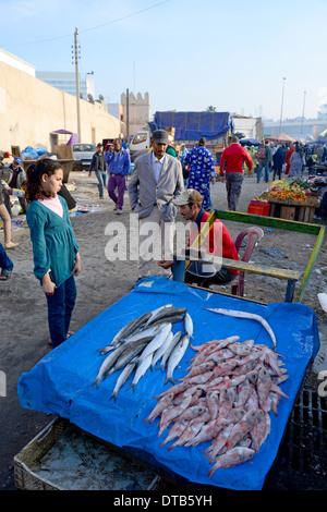 Décrochage du poisson dans la vieille médina, District Casa-Anfa, Casablanca, Grand Casablanca, Royaume du Maroc Banque D'Images