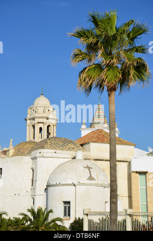 16e siècle l'église de Santa Cruz (ancienne cathédrale), Vieille Ville, Cádiz, Cadix Province, Andalusia, Spain Banque D'Images