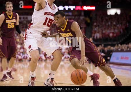 Madison, Wisconsin, USA. Feb 13, 2014. 13 février 2014 : Minnesota Golden Gophers guard Andre Hollins # 1 référence des lecteurs au cours de la jeu de basket-ball de NCAA entre les Minnesota Golden Gophers et le Wisconsin Badgers au Kohl Center à Madison, WI. Le Wisconsin a battu Minnesota 78-70. John Fisher/CSM/Alamy Live News Banque D'Images