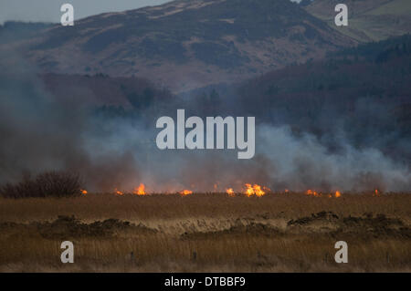 L'Ouest du pays de Galles Ceredigion Borth, vendredi 14 mars 2014 de grandes parties de cors Fochno Borth (Bog) réserve naturelle des zones humides sont en feu à la suite de la chute de lignes à haute tension pendant la nuit. Les incendies, qui s'étend dans une ligne quelque 250m de large sont en feu 200m de maisons voisines, caravanes et de l'église Crédit photo : Keith morris/Alamy Live News Banque D'Images