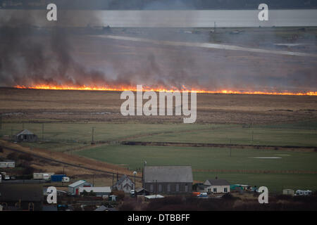 L'Ouest du pays de Galles Ceredigion Borth, vendredi 14 mars 2014 de grandes parties de cors Fochno Borth (Bog) réserve naturelle des zones humides sont en feu à la suite de la chute de lignes à haute tension pendant la nuit. Les incendies, qui s'étend dans une ligne quelque 250m de large sont en feu 200m de maisons voisines, caravanes et de l'église Crédit photo : Keith morris/Alamy Live News Banque D'Images