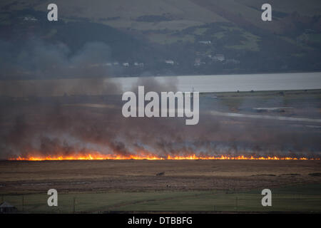 L'Ouest du pays de Galles Ceredigion Borth, vendredi 14 mars 2014 de grandes parties de cors Fochno Borth (Bog) réserve naturelle des zones humides sont en feu à la suite de la chute de lignes à haute tension pendant la nuit. Les incendies, qui s'étend dans une ligne quelque 250m de large sont en feu 200m de maisons voisines, caravanes et de l'église Crédit photo : Keith morris/Alamy Live News Banque D'Images