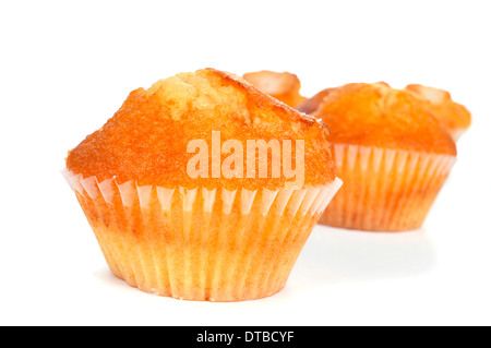 Certains des madeleines, muffins, plaine espagnol typique sur un fond blanc Banque D'Images