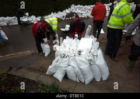 Burrowbridge, UK. Feb 13, 2014. Remplissage de sacs de bénévoles à l'avance d'une nouvelle vague dans l'eau à Burrowbridge Somerset Levels Paul Glendell Crédit/Alamy Live News Banque D'Images