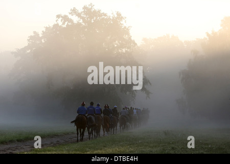 Chantilly , France, les cavaliers et les chevaux à la balade du matin Banque D'Images