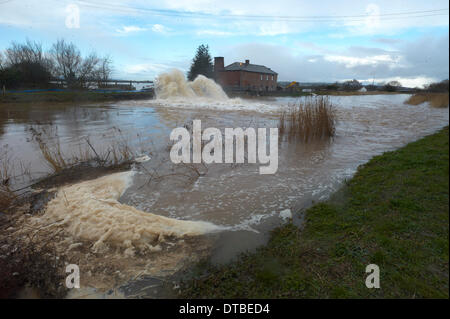 Burrowbridge, UK. Feb 13, 2014. Le pompage de l'eau de la Somerset inondées à l'aide de pompes de secours installé à Burrowbridge Crédit Paul Glendell Somerset/Alamy Live News Banque D'Images