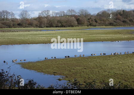 Vue de la RSPB Bowling Green hide, Topsham Banque D'Images