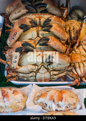 Habillé et crabes frais à vendre en vitrine dans Cromer Norfolk Angleterre Banque D'Images