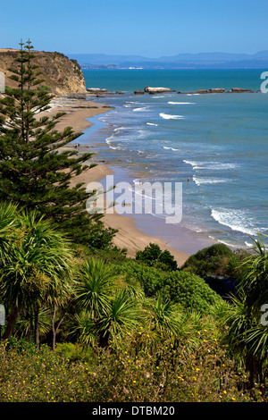 Cape Kidnappers, Hawkes Bay, près de Hastings, île du Nord, Nouvelle-Zélande Banque D'Images