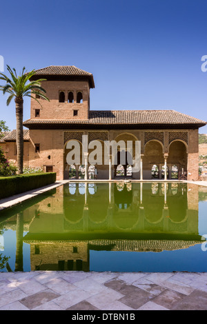 Torre de Las Damas - les beaux jardins au Palais de l'Alhambra à Grenade, Andalousie, Espagne du sud. Banque D'Images