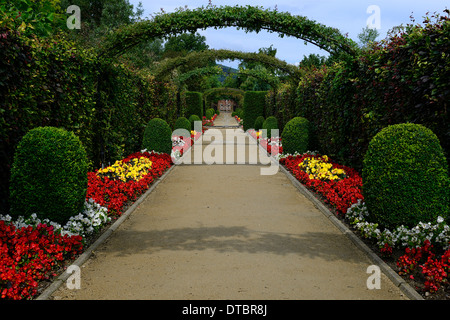 Rosier grimpant pergola arche rouge blanc jaune literie jardin national des plantes annuelles du centre des kilquade Irlande wicklow Banque D'Images