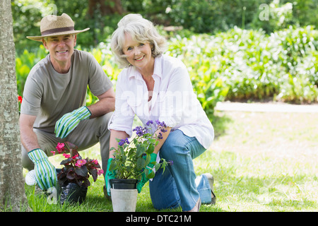 Mature couple engaged in gardening Banque D'Images