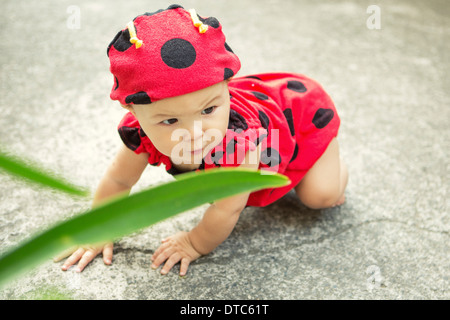 Baby Girl wearing costume coccinelle Banque D'Images