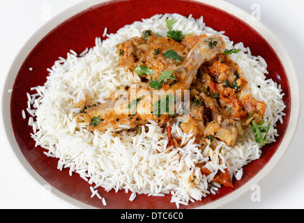 Poulet balti de base sur un lit de riz basmati blanc Banque D'Images