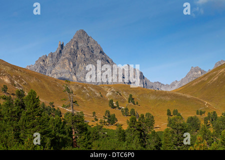 Le mont Piz Plavna à Val Mingèr Dadaint, Parc National Suisse à Graubünden / Grisons dans les Alpes, Suisse Banque D'Images