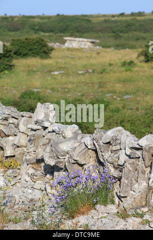 Tombeau de coin dans le comté de Clare, Irlande Banque D'Images