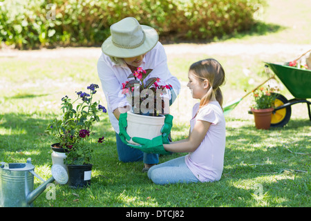 Grand-mère et petite-fille engaged in gardening Banque D'Images