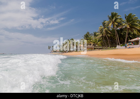 Plage d'Hikkaduwa au Sri Lanka Banque D'Images
