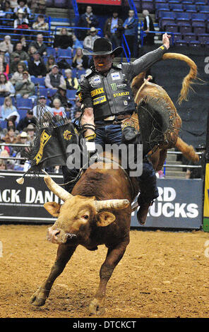 St Louis, Missouri, USA. Feb 14, 2014. 14 février 2014 : Cavalier Guilherme Mars (4) sur le fusil de Bull Bull professionnel au cours de la Red Riders construit Ford série difficiles au Scottrade Center à St Louis. Credit : csm/Alamy Live News Banque D'Images