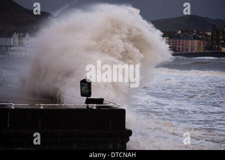 Pays de Galles Aberystwyth UK, samedi 15 Fen 2014 rafales de vent jusqu'à 70 mph drive énormes vagues battant contre le mur de la mer et de la promenade à Aberystwyth, sur la côte ouest du pays de Galles de l'UK à marée haute première chose ce matin. Après des mois de coups de vent violents et puissants raz de marée, des vents forts d'aujourd'hui sont appelées à être la dernière sur la séquence en cours de tempêtes. Le temps se calme, bien que la pluie, est prévue pour les prochains jours. Credit : Keith morris/Alamy Live News Banque D'Images