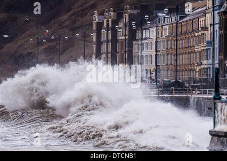 Pays de Galles Aberystwyth UK, samedi 15 Fen 2014 rafales de vent jusqu'à 70 mph drive énormes vagues battant contre le mur de la mer et de la promenade à Aberystwyth, sur la côte ouest du pays de Galles de l'UK à marée haute première chose ce matin. Après des mois de coups de vent violents et puissants raz de marée, des vents forts d'aujourd'hui sont appelées à être la dernière sur la séquence en cours de tempêtes. Le temps se calme, bien que la pluie, est prévue pour les prochains jours. Credit : Keith morris/Alamy Live News Banque D'Images