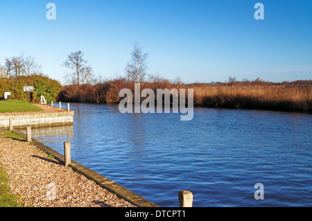 Une vue de la rivière Ant sur les Norfolk Broads à Irstead Shoals, Norfolk, Angleterre, Royaume-Uni. Banque D'Images