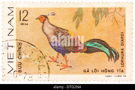 VIETNAM - circa 1978 : timbre imprimé au Vietnam montre d'oiseaux d'ornement des animaux, vers 1978 Banque D'Images