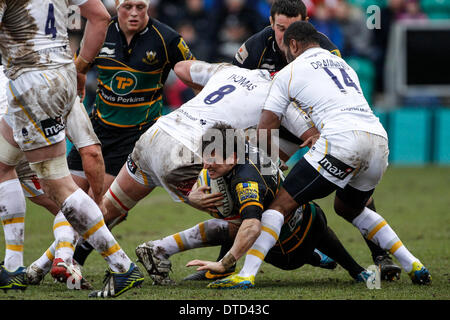 Northampton, Royaume-Uni. Feb 15, 2014. Lee Dickson de Northampton Saints est abordé par Jonathan THOMAS (8) et Josh DRAUNINIU (14) de Worcester Warriors lors de l'Aviva Premiership match entre Northampton Saints et Worcester Warriors à Franklin's Gardens. Credit : Action Plus Sport/Alamy Live News Banque D'Images