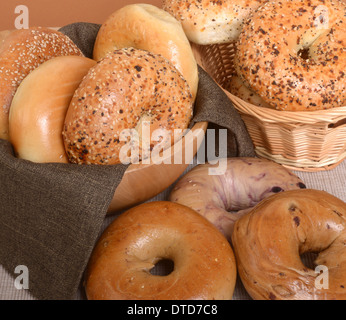 Une variété de bagels y compris plain, cannelle et raisins, bleuets, et tout Banque D'Images