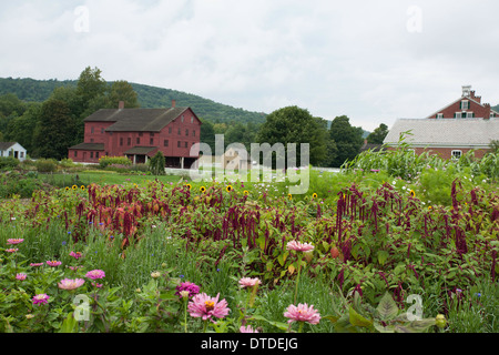 Herbes, fleurs et légumes poussent sur Hancock Shaker Village de Massachusetts. Banque D'Images