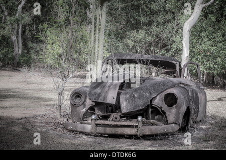 Rusty old 1950 FJ Holden Ute dans le bush australien Banque D'Images