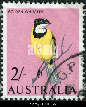 Timbre-poste imprimé en Australie, montre d'or australienne d'oiseaux Whistler (Pachycephala pectoralis) Banque D'Images