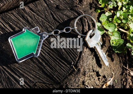 Trousseau dans une forme de house sur le bois. Couleur vert chambre Banque D'Images