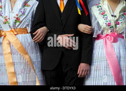 Drachhausen, Allemagne. 16 Février, 2014. Les jeunes femmes et un homme en costume traditionnel de fête sorabe assister à l'Zapust Sorbian-Wendish traditionnelle de la jeunesse carnaval dans Drachhausen, Allemagne, 16 février 2014. Zapust est le plus populaire de tradition les Sorabes. Le cortège de carnaval dans les villages de Lusace est tenu d'expulser l'hiver. Photo : Patrick Pleul/ZB/dpa/Alamy Live News Banque D'Images