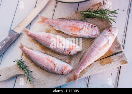 Poisson rougets et romarin sur table en bois Banque D'Images