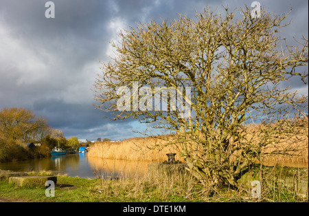 La coque de la rivière sur un beau matin d'hiver à la confluence avec le canal (Beck) dans Beverley, Yorkshire, UK. Banque D'Images