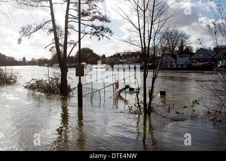 Surrey Staines, Royaume-Uni. 16 février 2014. La montée du niveau de l'eau continuer secteurs le long de la Tamise à la suite de mauvais temps sans précédent ce qui porte malheur aux résidents en dépit de l'amélioration de beau temps pendant le week-end © amer ghazzal/Alamy Live News Crédit : amer ghazzal/Alamy Live News Banque D'Images