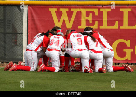 Houston, Texas, USA. 16 Février, 2014. 16 févr. 2014 : les Cougars de Houston s'entasser avant le match NCAA entre Houston et de l'Armée de stade de softball de Cougar à Houston, TX. © csm/Alamy Live News Banque D'Images