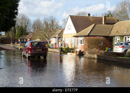 Chertsey Surrey, UK. 16 février. Un résident se tient sur l'avant de sa maison dans une rue résidentielle, qui ont été touchés par les récentes inondations. La montée du niveau de l'eau continuer secteurs le long de la Tamise à la suite de mauvais temps sans précédent ce qui porte malheur aux résidents en dépit de l'amélioration de beau temps pendant le week-end : Crédit amer ghazzal/Alamy Live News Banque D'Images